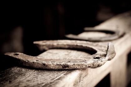 Picture of HORSESHOES SEPIA