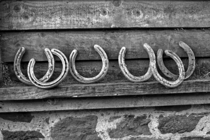 Picture of HORSESHOES