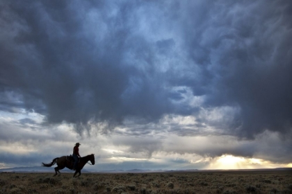 Picture of PLAINS RIDER