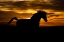 Picture of SUNSET SHADOW