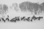 Picture of WINTER ROUND UP