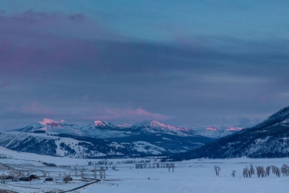 Picture of ALPENGLOW, LAMAR VALLEY, YELLOWSTONE NATIONAL PARK