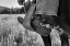 Picture of BOOTS IN A STIRRUP