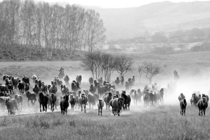 Picture of BRINGING IN THE HORSE HERD