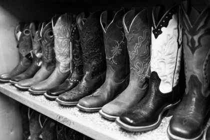 Picture of FANCY COWBOY BOOTS 