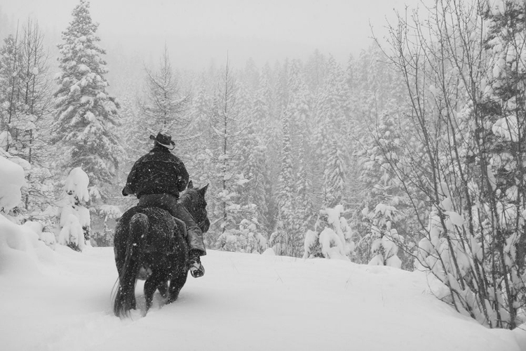 Picture of FLATHEAD NATIONAL FOREST, MONTANA