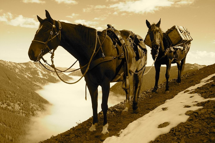 Picture of FRANK CHURCH-RIVER OF NO RETURN WILDERNESS, PAYETTE NATIONAL FOREST I