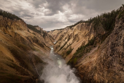 Picture of LOWER FALLS, YELLOWSTONE NATIONAL PARK