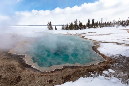 Picture of BLACK POOL STEAMING, YELLOWSTONE NATIONAL PARK