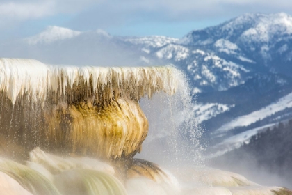 Picture of CANARY SPRING, MAMMOTH HOT SPRINGS, YELLOWSTONE NATIONAL PARK