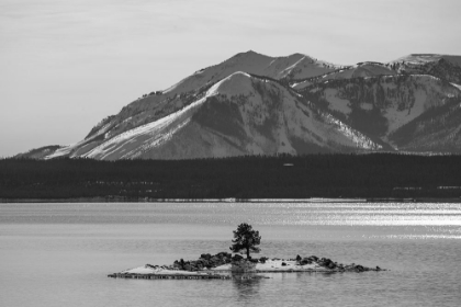 Picture of CARRINGTON ISLAND AND MOUNT SHERIDAN, YELLOWSTONE NATIONAL PARK