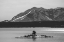 Picture of CARRINGTON ISLAND AND MOUNT SHERIDAN, YELLOWSTONE NATIONAL PARK