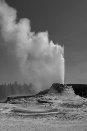 Picture of CASTLE GEYSER, YELLOWSTONE NATIONAL PARK