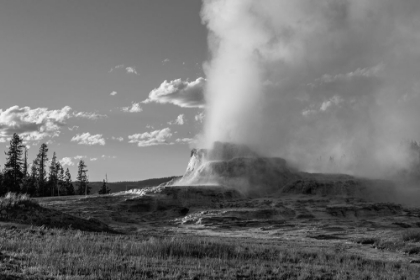 Picture of CASTLE GEYSER LATE EVENING, YELLOWSTONE NATIONAL PARK