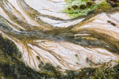Picture of COLORFUL BACTERIA AT MAMMOTH HOT SPRINGS, YELLOWSTONE NATIONAL PARK