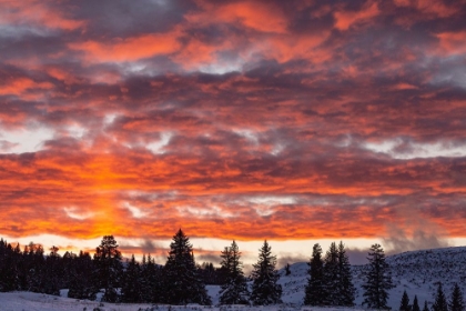 Picture of WINTER SUNSET IN LAMAR VALLEY, YELLOWSTONE NATIONAL PARK