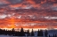 Picture of WINTER SUNSET IN LAMAR VALLEY, YELLOWSTONE NATIONAL PARK