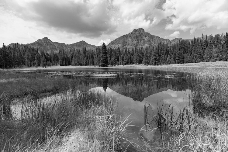 Picture of CUSTER-GALLATIN NATIONAL FOREST, KNOX LAKE TRAIL, YELLOWSTONE NATIONAL PARK