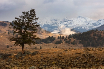 Picture of CUTOFF MOUNTAIN FROM LAMAR VALLEY, YELLOWSTONE NATIONAL PARK