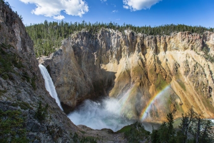 Picture of LOWER FALLS FROM UNCLE TOM'S TRAIL, YELLOWSTONE NATIONAL PARK