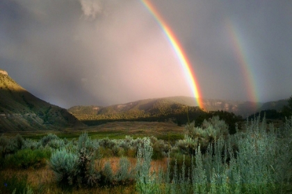 Picture of DOUBLE RAINBOW FROM LOWER MAMMOTH, YELLOWSTONE NATIONAL PARK