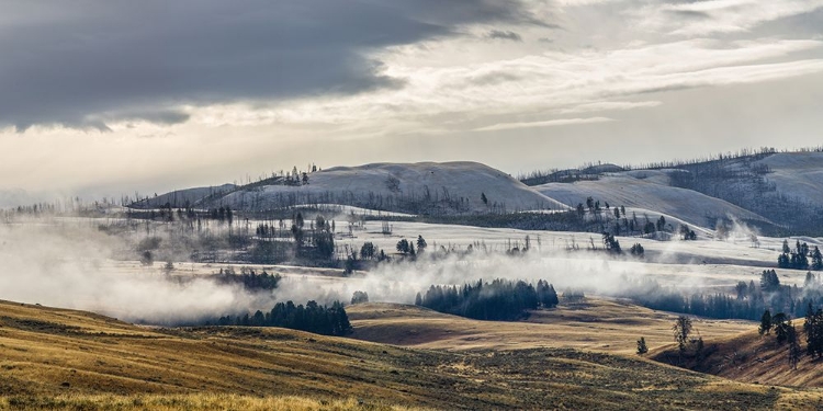 Picture of DUSTING OF SNOW, BLACKTAIL DEER PLATEAU, YELLOWSTONE NATIONAL PARK