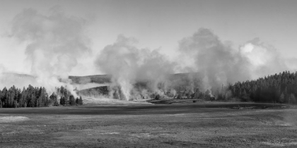 Picture of EARLY MORNING STEAM, UPPER GEYSER BASIN, YELLOWSTONE NATIONAL PARK
