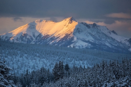 Picture of ELECTRIC PEAK AT SUNSET, YELLOWSTONE NATIONAL PARK