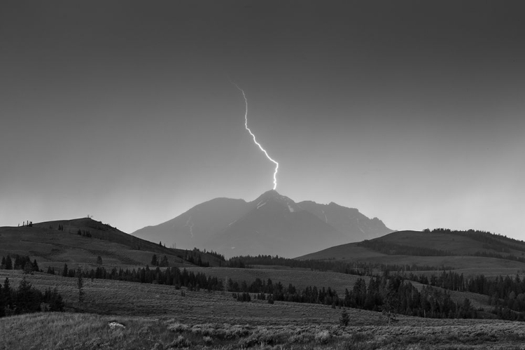 Picture of ELECTRIC PEAK, YELLOWSTONE NATIONAL PARK