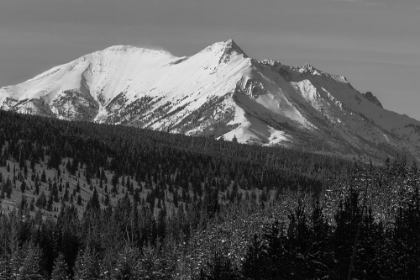 Picture of ELECTRIC PEAK FROM OBSIDIAN CANYON, YELLOWSTONE NATIONAL PARK