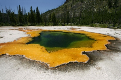 Picture of EMERALD POOL IN BLACK SAND BASIN, YELLOWSTONE NATIONAL PARK