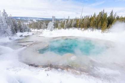 Picture of EMERALD SPRING, YELLOWSTONE NATIONAL PARK