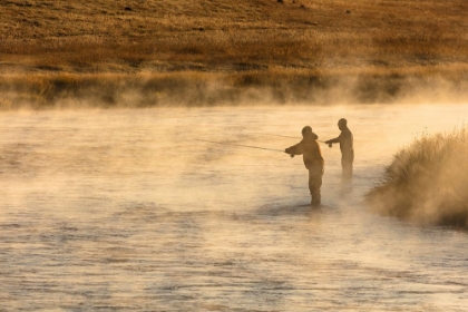 Picture of FALL FISHING ON THE MADISON RIVER, YELLOWSTONE NATIONAL PARK