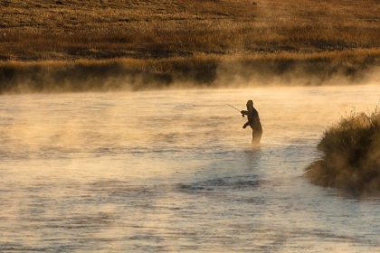 Picture of FALL FISHING ON THE MADISON RIVER AT SUNRISE, YELLOWSTONE NATIONAL PARK