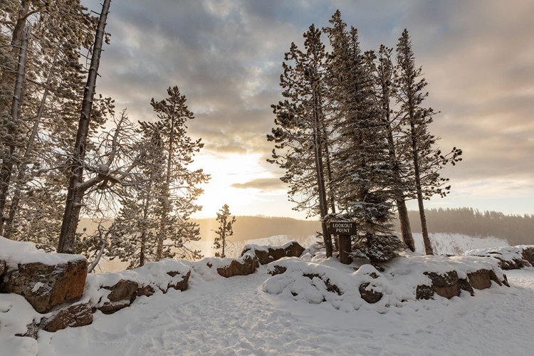 Picture of FALL SUNRISE AT LOOKOUT POINT OVERLOOK, YELLOWSTONE NATIONAL PARK