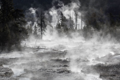 Picture of FROST AND STEAM, MIDWAY GEYSER BASIN, YELLOWSTONE NATIONAL PARK