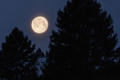 Picture of FULL MOON SETS OVER SEPULCHER MOUNTAIN, YELLOWSTONE NATIONAL PARK