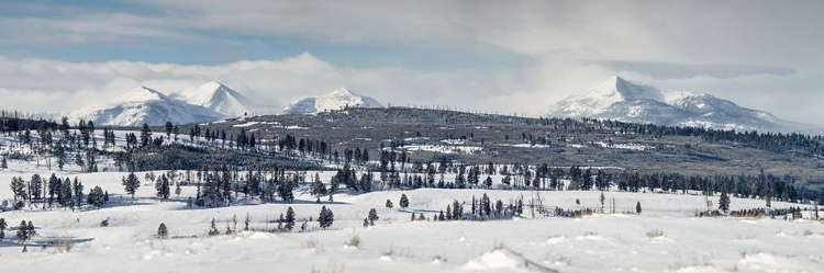 Picture of GALLATIN MOUNTAINS FROM BLACKTAIL DEER PLATEAU, YELLOWSTONE NATIONAL PARK