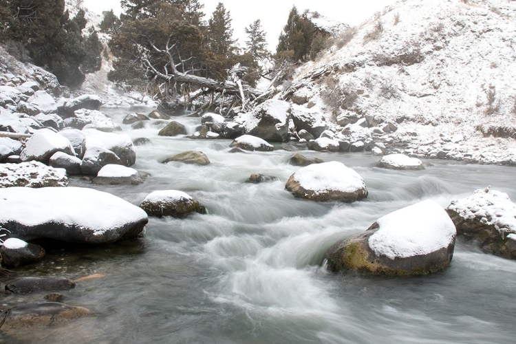 Picture of GARDNER RIVER, YELLOWSTONE NATIONAL PARK