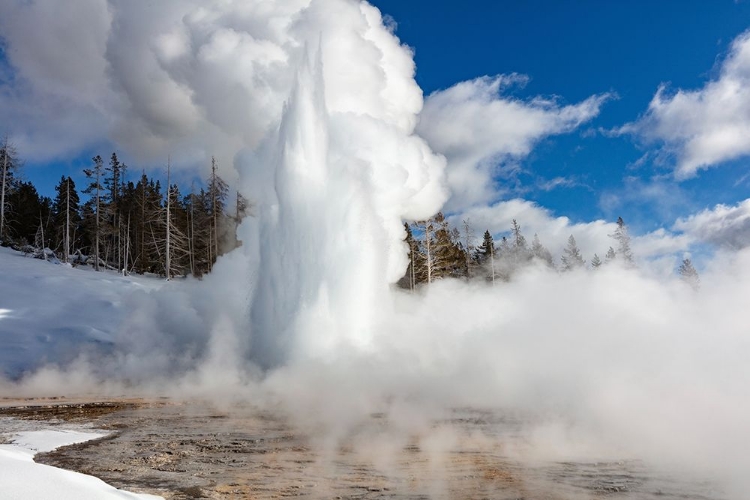 Picture of GRAND GEYSER ERUPTION, YELLOWSTONE NATIONAL PARK