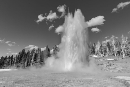 Picture of GRAND GEYSER ERUPTION, YELLOWSTONE NATIONAL PARK