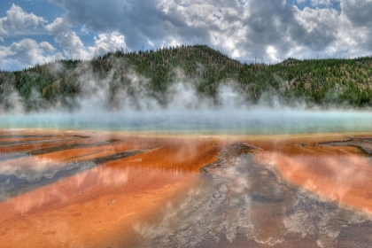 Picture of GRAND PRISMATIC SPRING AND THERMOPHILES, YELLOWSTONE NATIONAL PARK