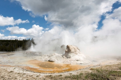 Picture of GROTTO GEYSER, YELLOWSTONE NATIONAL PARK