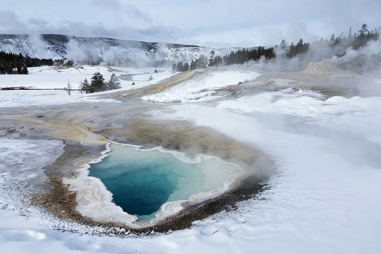 Picture of HEART SPRING IN UPPER GEYSER BASIN, YELLOWSTONE NATIONAL PARK