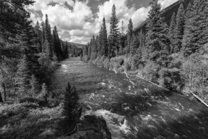 Picture of HELLROARING CREEK NEAR THE ABSAROKA BEARTOOTH WILDERNESS, YELLOWSTONE NATIONAL PARK