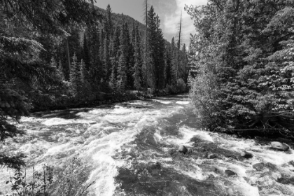Picture of HORSE AND HELLROARING CREEKS, YELLOWSTONE NATIONAL PARK