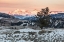 Picture of LAST LIGHT ON CUTOFF MOUNTAIN, YELLOWSTONE NATIONAL PARK