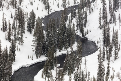 Picture of LEWIS RIVER, YELLOWSTONE NATIONAL PARK