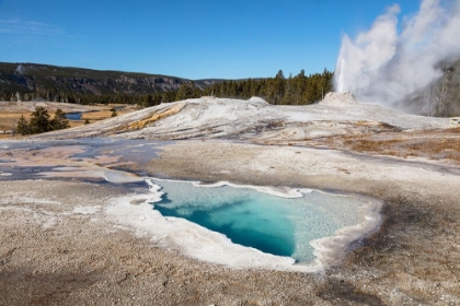 Picture of LION GEYSER AND HEART SPRING, YELLOWSTONE NATIONAL PARK