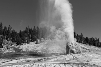 Picture of LONE STAR GEYSER, YELLOWSTONE NATIONAL PARK